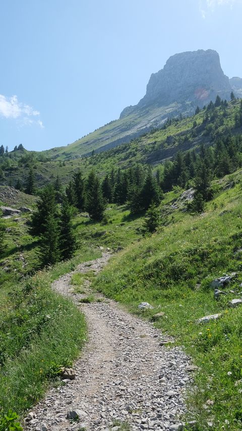 Download wallpaper 2160x3840 trail, trees, slope, mountains samsung galaxy s4, s5, note, sony xperia z, z1, z2, z3, htc one, lenovo vibe hd background