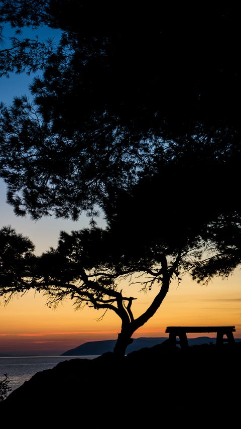 Download wallpaper 2160x3840 tree, bench, silhouettes, sea, twilight samsung galaxy s4, s5, note, sony xperia z, z1, z2, z3, htc one, lenovo vibe hd background