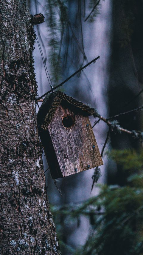 Download wallpaper 2160x3840 tree, birdhouse, branches, blur samsung galaxy s4, s5, note, sony xperia z, z1, z2, z3, htc one, lenovo vibe hd background