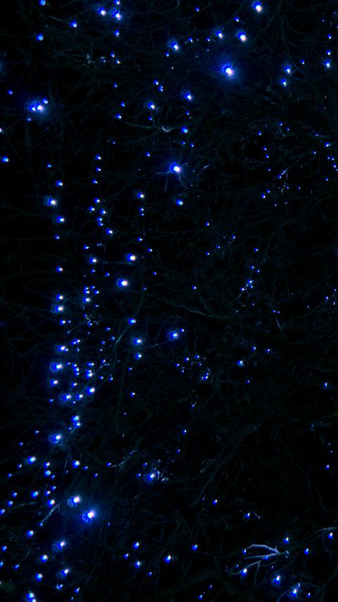 Download wallpaper 2160x3840 tree, branches, garland, light, blue, dark samsung galaxy s4, s5, note, sony xperia z, z1, z2, z3, htc one, lenovo vibe hd background