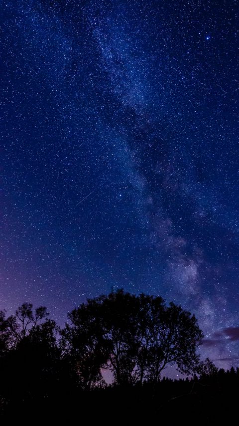 Download wallpaper 2160x3840 tree, silhouette, starry sky, night, dark samsung galaxy s4, s5, note, sony xperia z, z1, z2, z3, htc one, lenovo vibe hd background