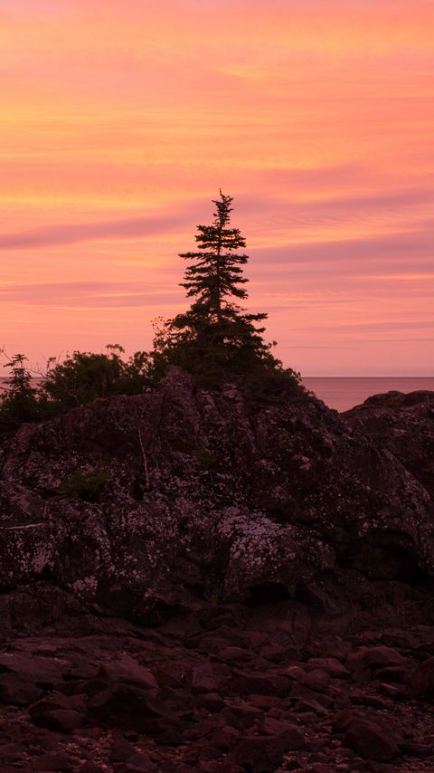 Download wallpaper 2160x3840 tree, stone, sunset, nature samsung galaxy s4, s5, note, sony xperia z, z1, z2, z3, htc one, lenovo vibe hd background