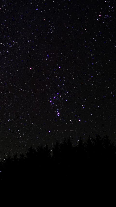 Download wallpaper 2160x3840 trees, darkness, starry sky, night samsung galaxy s4, s5, note, sony xperia z, z1, z2, z3, htc one, lenovo vibe hd background