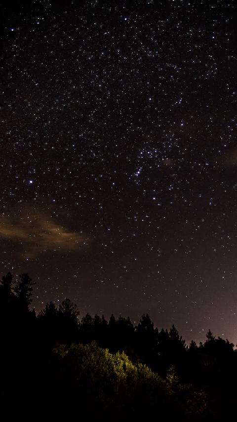 Download wallpaper 2160x3840 trees, forest, silhouettes, stars, night, nature samsung galaxy s4, s5, note, sony xperia z, z1, z2, z3, htc one, lenovo vibe hd background