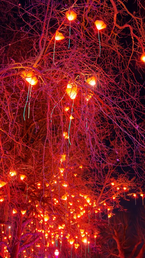 Download wallpaper 2160x3840 trees, garlands, lights samsung galaxy s4, s5, note, sony xperia z, z1, z2, z3, htc one, lenovo vibe hd background