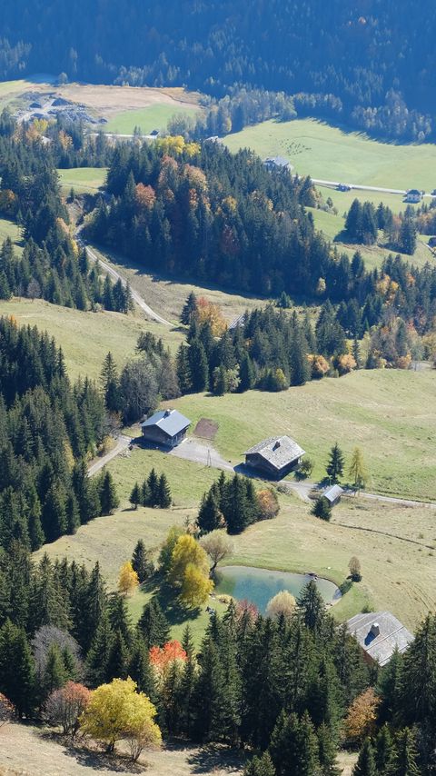 Download wallpaper 2160x3840 trees, houses, aerial view samsung galaxy s4, s5, note, sony xperia z, z1, z2, z3, htc one, lenovo vibe hd background