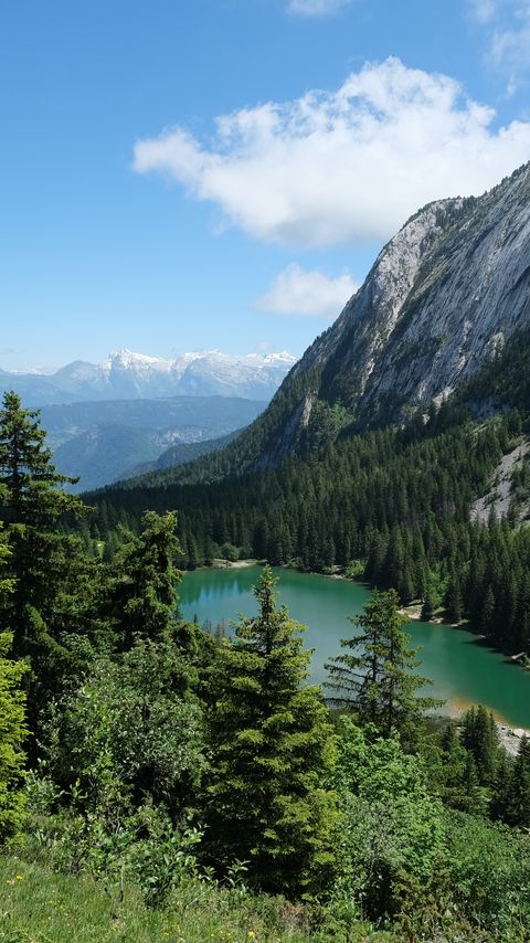 Download wallpaper 2160x3840 trees, lake, forest, mountain samsung galaxy s4, s5, note, sony xperia z, z1, z2, z3, htc one, lenovo vibe hd background