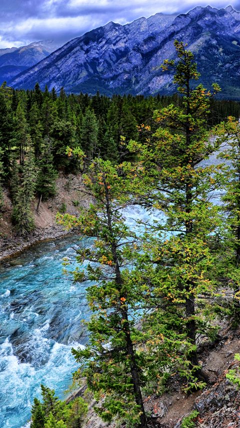 Download wallpaper 2160x3840 trees, mountains, river, nature samsung galaxy s4, s5, note, sony xperia z, z1, z2, z3, htc one, lenovo vibe hd background