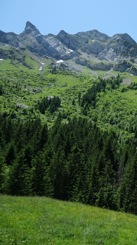 Download wallpaper 2160x3840 trees, mountains, slope, grass samsung galaxy s4, s5, note, sony xperia z, z1, z2, z3, htc one, lenovo vibe hd background