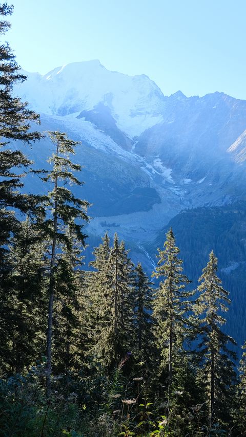 Download wallpaper 2160x3840 trees, mountains, view, landscape samsung galaxy s4, s5, note, sony xperia z, z1, z2, z3, htc one, lenovo vibe hd background
