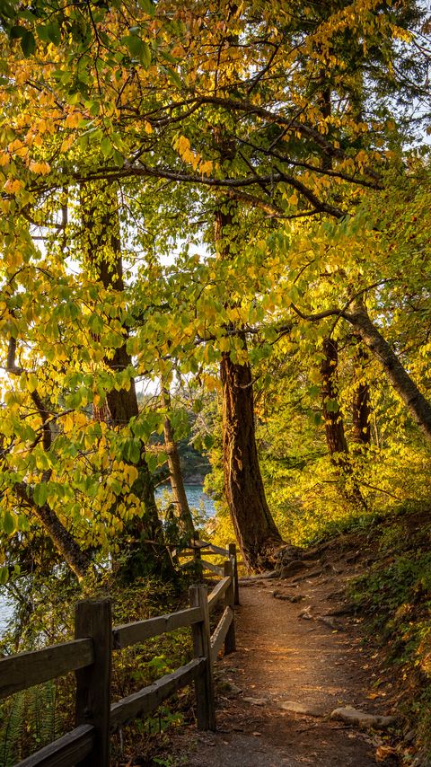 Download wallpaper 2160x3840 trees, path, fence, autumn, nature samsung galaxy s4, s5, note, sony xperia z, z1, z2, z3, htc one, lenovo vibe hd background