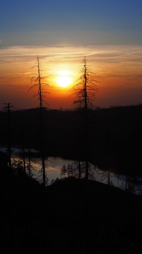 Download wallpaper 2160x3840 trees, river, sunset, dark samsung galaxy s4, s5, note, sony xperia z, z1, z2, z3, htc one, lenovo vibe hd background