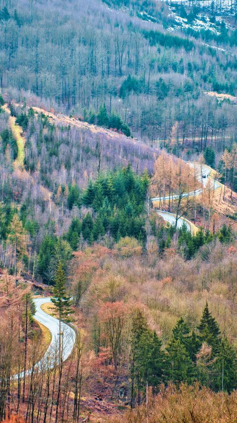 Download wallpaper 2160x3840 trees, road, forest, autumn samsung galaxy s4, s5, note, sony xperia z, z1, z2, z3, htc one, lenovo vibe hd background