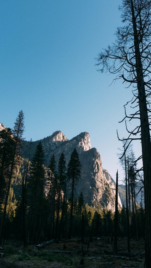 Download wallpaper 2160x3840 trees, rock, mountain, nature samsung galaxy s4, s5, note, sony xperia z, z1, z2, z3, htc one, lenovo vibe hd background