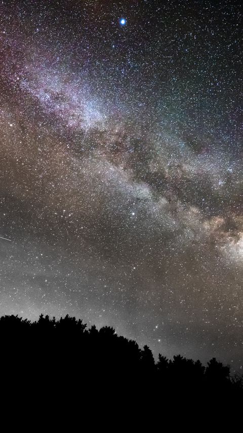 Download wallpaper 2160x3840 trees, silhouettes, nebula, stars, dark samsung galaxy s4, s5, note, sony xperia z, z1, z2, z3, htc one, lenovo vibe hd background