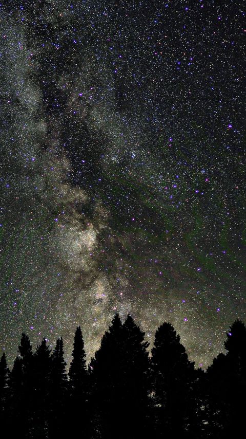 Download wallpaper 2160x3840 trees, silhouettes, night, starry sky samsung galaxy s4, s5, note, sony xperia z, z1, z2, z3, htc one, lenovo vibe hd background
