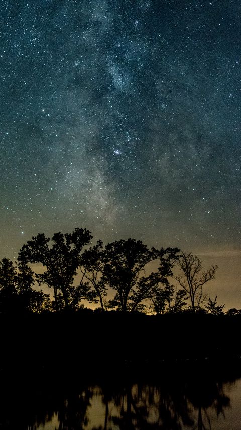 Download wallpaper 2160x3840 trees, silhouettes, starry sky, night, river, reflection samsung galaxy s4, s5, note, sony xperia z, z1, z2, z3, htc one, lenovo vibe hd background