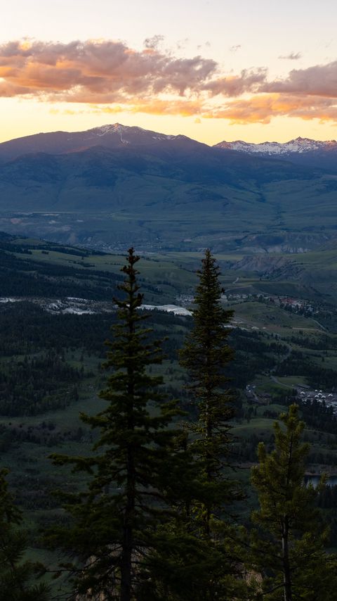 Download wallpaper 2160x3840 trees, valley, mountains, nature samsung galaxy s4, s5, note, sony xperia z, z1, z2, z3, htc one, lenovo vibe hd background