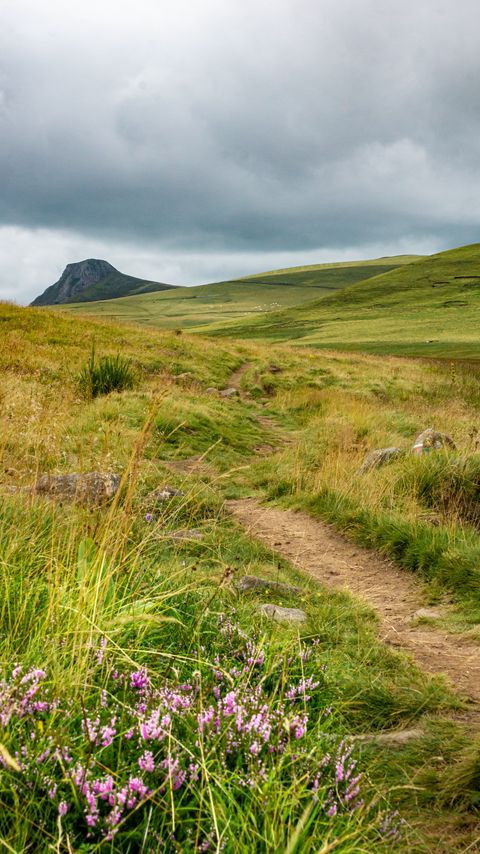 Download wallpaper 2160x3840 valley, hills, path, grass, flowers, nature samsung galaxy s4, s5, note, sony xperia z, z1, z2, z3, htc one, lenovo vibe hd background