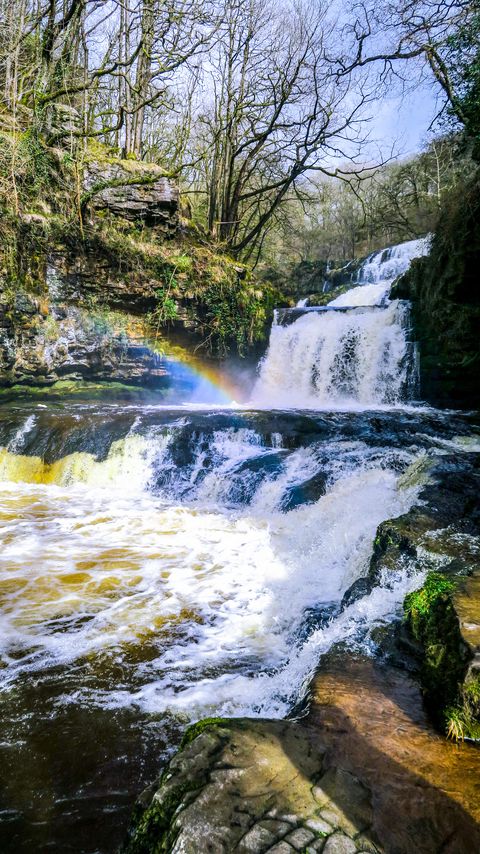 Download wallpaper 2160x3840 waterfall, cascade, rainbow, trees samsung galaxy s4, s5, note, sony xperia z, z1, z2, z3, htc one, lenovo vibe hd background