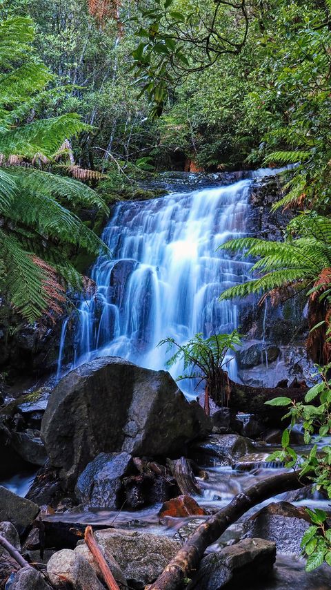 Download wallpaper 2160x3840 waterfall, stones, forest, moss samsung galaxy s4, s5, note, sony xperia z, z1, z2, z3, htc one, lenovo vibe hd background