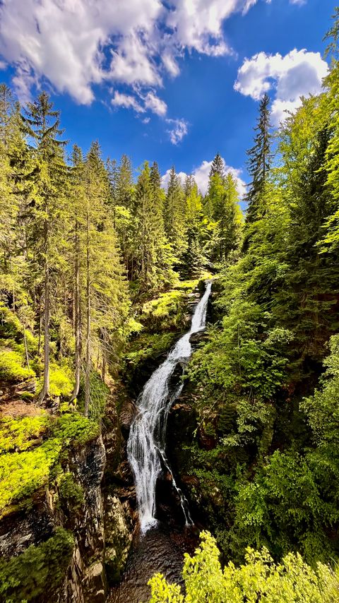 Download wallpaper 2160x3840 waterfall, trees, forest samsung galaxy s4, s5, note, sony xperia z, z1, z2, z3, htc one, lenovo vibe hd background