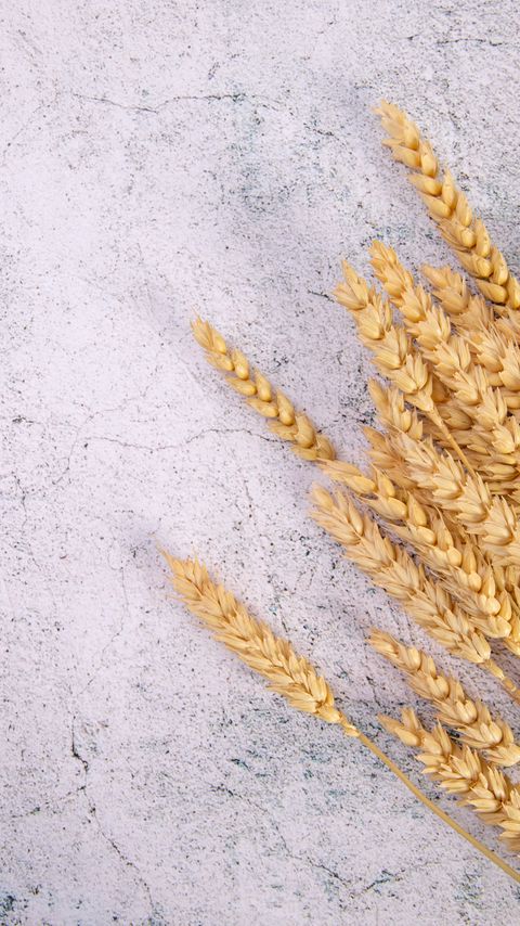 Download wallpaper 2160x3840 wheat, ears, surface, cranny samsung galaxy s4, s5, note, sony xperia z, z1, z2, z3, htc one, lenovo vibe hd background